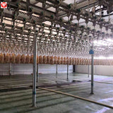 Poultry slaughter line