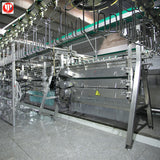 Poultry slaughter line