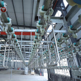 Poultry slaughter line