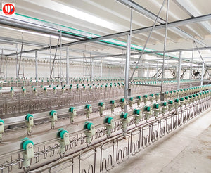 Poultry slaughter line