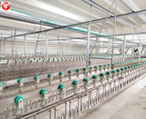 Poultry slaughter line